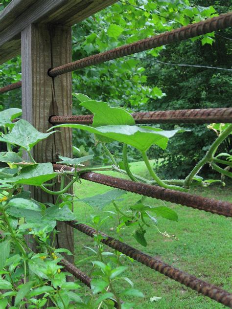 Sure, wooden fences can add bucolic charm and rustic appeal to your yard; Edifice Rex: Rusted