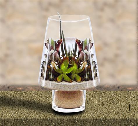 Modern Glass Angle Footed Terrariums Modish Store