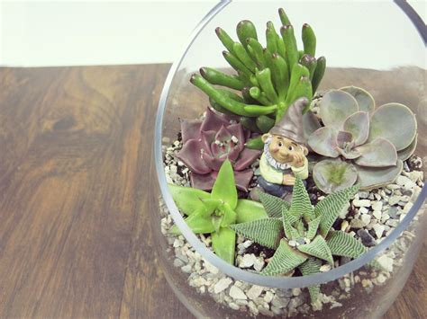 Step By Step Instructions On How To Create Your Own Succulent Terrarium Succulent Terrarium