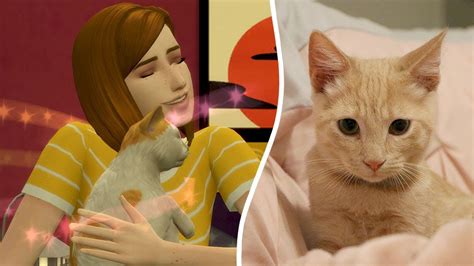 I Got A Cat The Sims 4 Simself Lets Play 3 Youtube