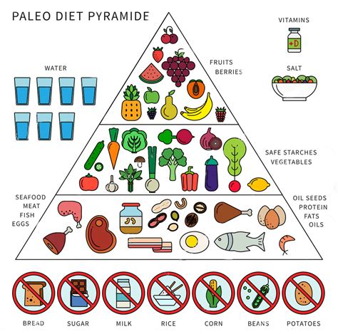 Why Is The Paleo Diet So Popular Healthy Lifestyle