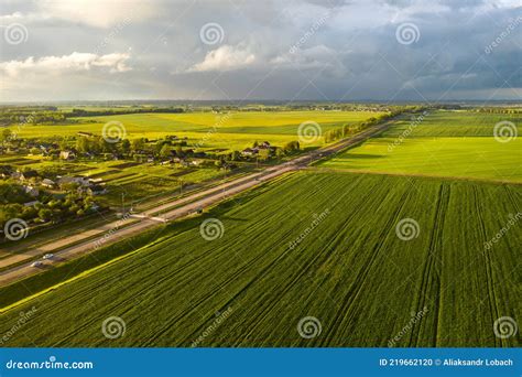 Top View Of The Sown Green In Belarusagriculture In Belarus Stock