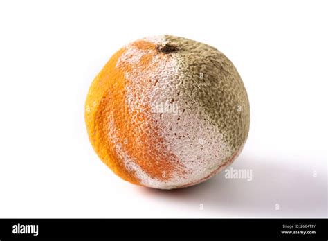 Rotten Orange Fruit Isolated On White Background Stock Photo Alamy