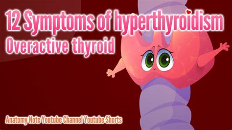 12 Symptoms Of Hyperthyroidism Overseas Doctor