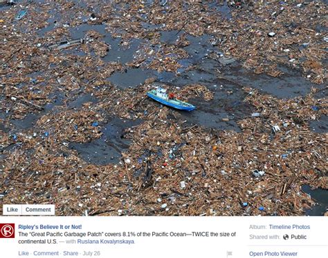 Fact Check The Great Pacific Garbage Patch