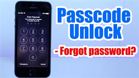 Passcode Unlock Iphone S C Plus S Forgot Passcode