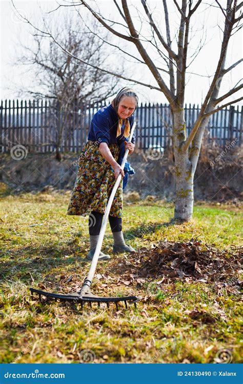 Senior Woman Spring Cleaning In A Walnut Orchard Stock Photo Image Of