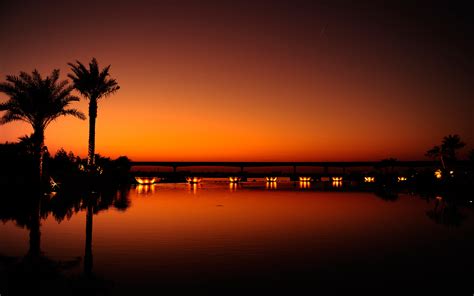 Landscape Sunset Palm Trees Reflection Water Lights Dubai