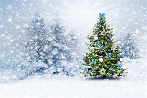 Christmas Trees Snow Wallpapers Wallpaper Cave