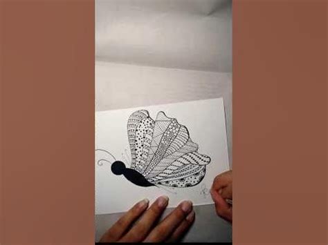 Borboleta Ornamentada Na T Cnica Zentangle Zentangle Tutorial