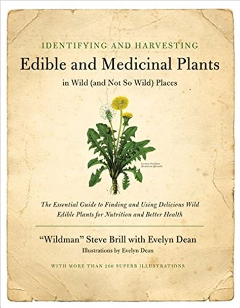 Identifying And Harvesting Edible And Medicinal Plants In Wild And Not