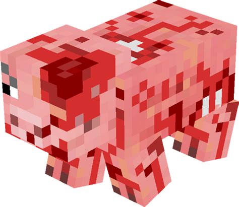 Dead Pig Nova Skin