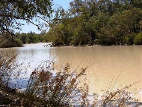 Four Corners Investigation Highlights Edo Nsw Work To Protect Murray Darling Basin