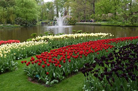 Fonds Decran Pays Bas Parc Printemps Tulipes Étang Beaucoup Keukenhof