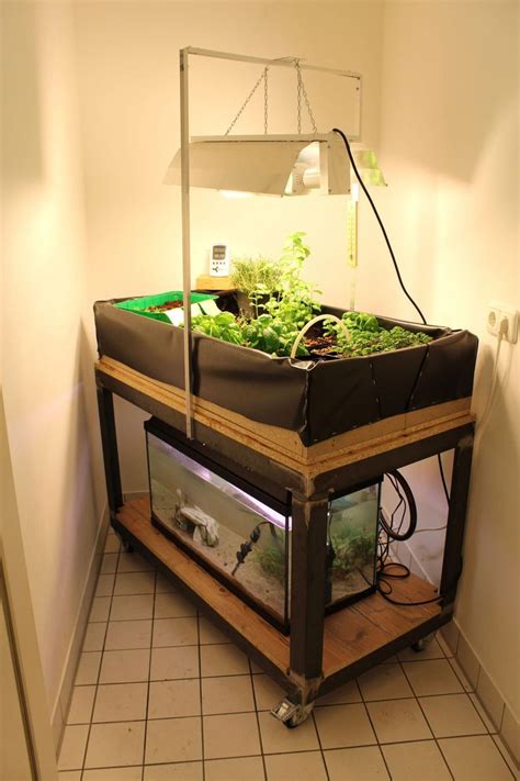 This diy project uses easy to get items to build a system that is an ideal size for urban apartment balcony or as part of a small backyard container garden. Composed mini aquaponic See how your business benefits ...