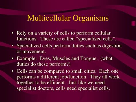 Ppt Unicellular And Multicellular Organisms Powerpoint Presentation