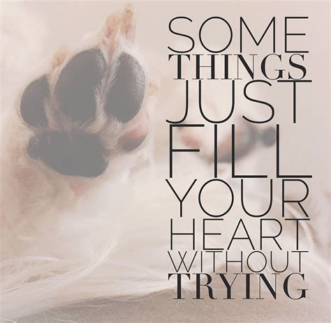 27 Inspirational Dog Quotes About Life And Love Playbarkrun