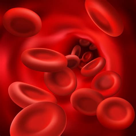 La anemia es una enfermedad frecuente en niños Saludiario