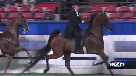 Kentucky State Fair Wraps Up With World Championship Horse Show Youtube