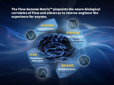 Flow Genome Projects Flow Dojo
