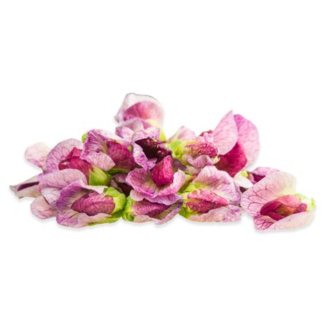 Same day or next day delivery is available. Edible Pea Flowers for Sale | Marx Foods