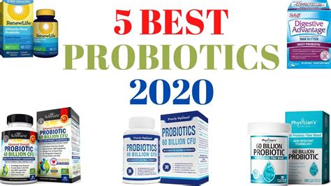 5 best probiotics 2020 youtube