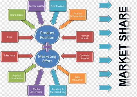 Marketing strategy Product management Positioning, market positioning