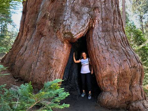 Kings Canyon National Park A Day Filled With Exciting Adventures