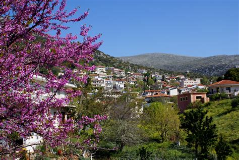 Great savings on hotels & accommodations in vilia, greece. Βίλια - VILIA.GR Photo from Vilia in Evia | Greece.com