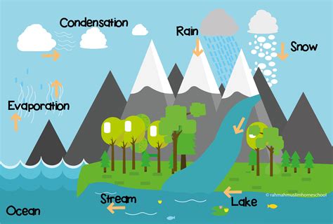 Science For Kids The Water Cycle The Islamic Home Education Resources