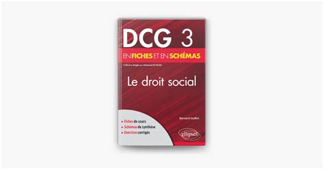 Dcg Le Droit Social En Fiches Et En Sch Mas De Bernard Guillot Em