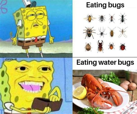 eat the bugs i will not eat the bugs know your meme