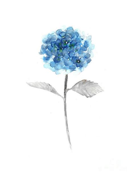 Blue Hydrangea Watercolor Painting Art Print By Joanna Szmerdt In 2022