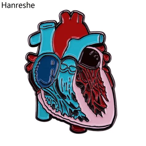 Hanreshe Anatomy Enamel Heart Brooch Pins Human Organs Internal Organs