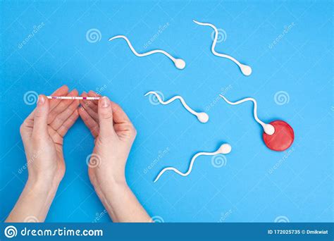 Active Sperm Swim In An Egg On A Blue Background And The Hands Of A Woman Hold A Pregnancy Test