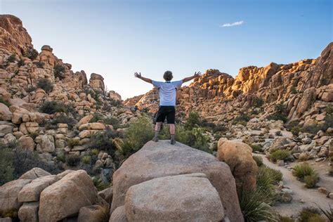 3 Best Mile And Under Hikes In Joshua Tree National Park We Who Roam