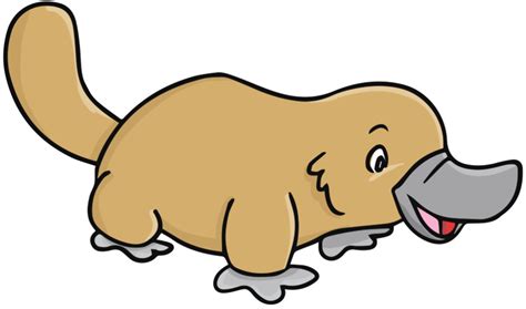 Platypus Clipart Free Images Wikiclipart
