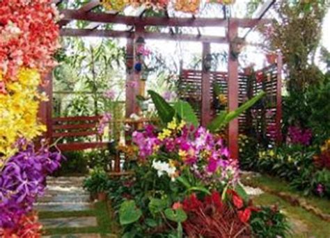 mpv landskap  nurseri taman orkid