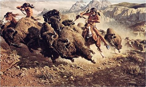 Buffalo And The Cheyenne