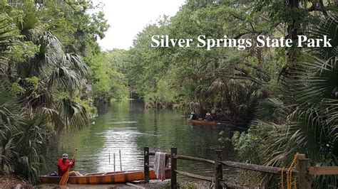 Silver Springs State Park Ocala Florida Youtube