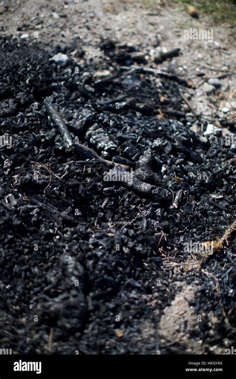 Burned Wood Ashes Garbage Campfire Pollution Ash Stock Photo Alamy