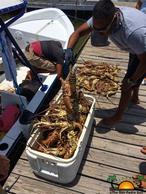 Lobster Season Officially Opens Fishermen At Odds With Fishing