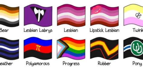 The rainbow flag is a symbol of lesbian, gay, bisexual and transgender. The many flags of the LGBT community | San Diego Gay and ...