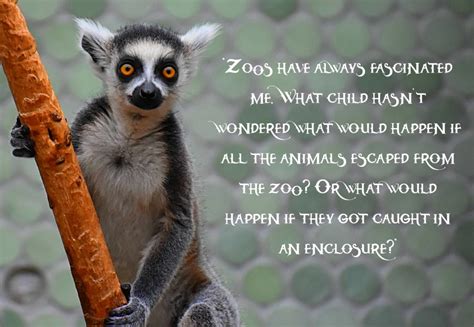 36 Funny Zoo Quotes For Kids And Youngsters