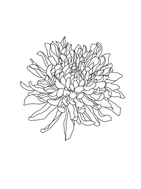 Chrysanthemum Chrysanthemum Tattoo Sleeve Tattoos Small Tattoos