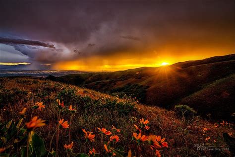 Rainy Sunset Photograph By James Zebrack Pixels