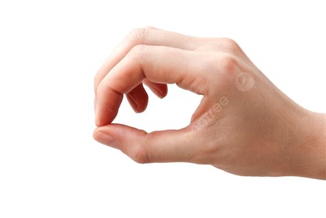 Human Hand Isolated Isolated Woman Human Finger Png Transparent