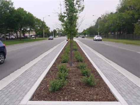 Stormwater Tree Trenches Maintenance Lid Swm Planning And Design Guide