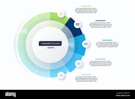 Five Option Circle Infographic Design Template Vector Illustration