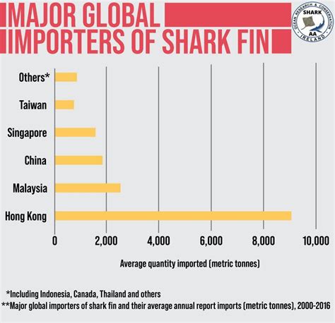 Enlarge the image and place the image at center; Shark fin trade in the U.S. will be banned.